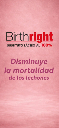 Birthright 100% - Sustituto Lácteo - Especial Para Lechones