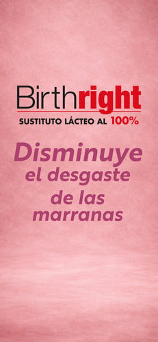 Birthright 100% - Sustituto Lácteo - Especial Para Lechones