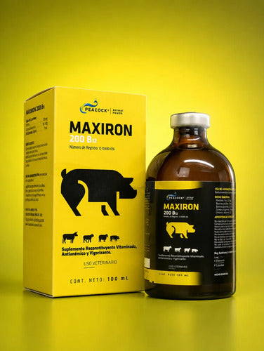 Maxiron 200 B12 - Hierro Dextran Vitaminado 100 Ml